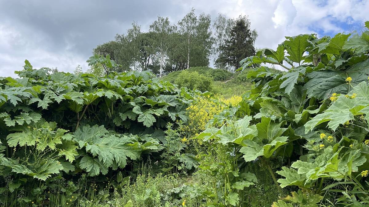    Фото: Вечерняя Москва