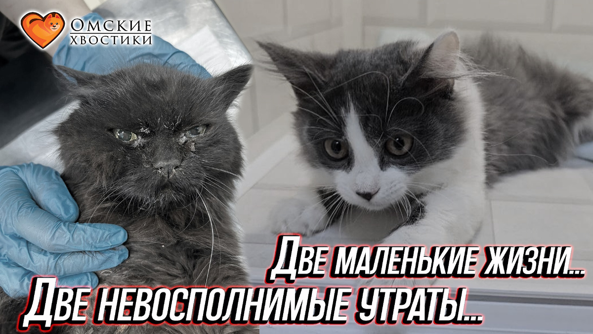 Наши сердца разрываются от боли...