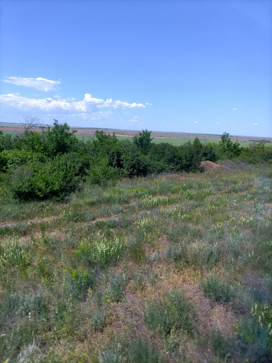 Где-то в пути 