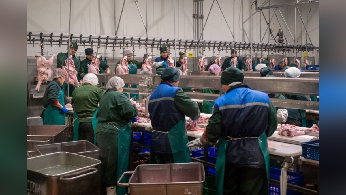    Башкортостан с начала года экспортировал в Конго более 160 тонн продукции из индейки