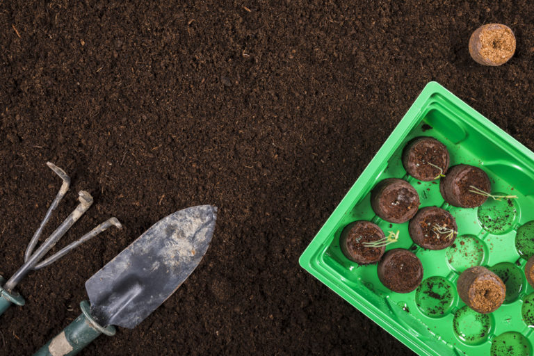    freepik.com Кристина Мартова