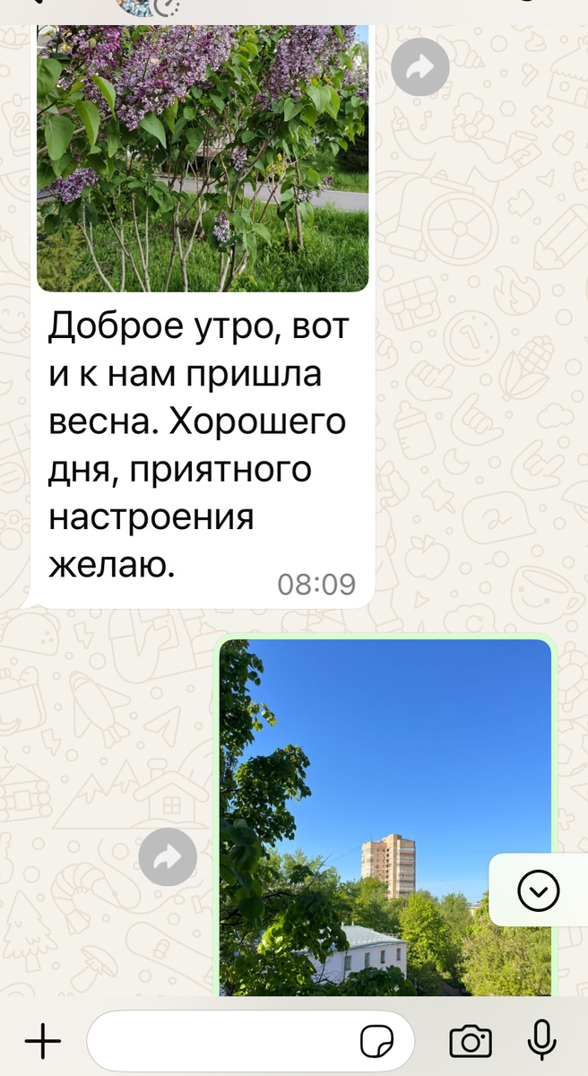 Подруга прислала фото своего сада, посаженого мужем у их подьезда - отправила в ответ свое голубое небо