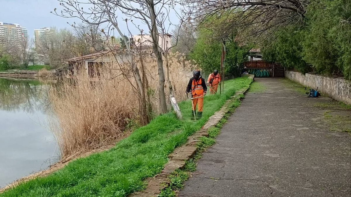     Фото: Пресс-служба администрации Краснодара