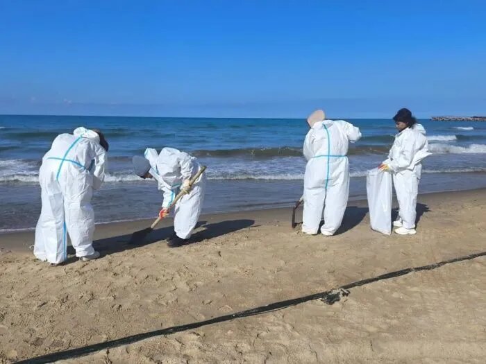 Фото: freepik.com/