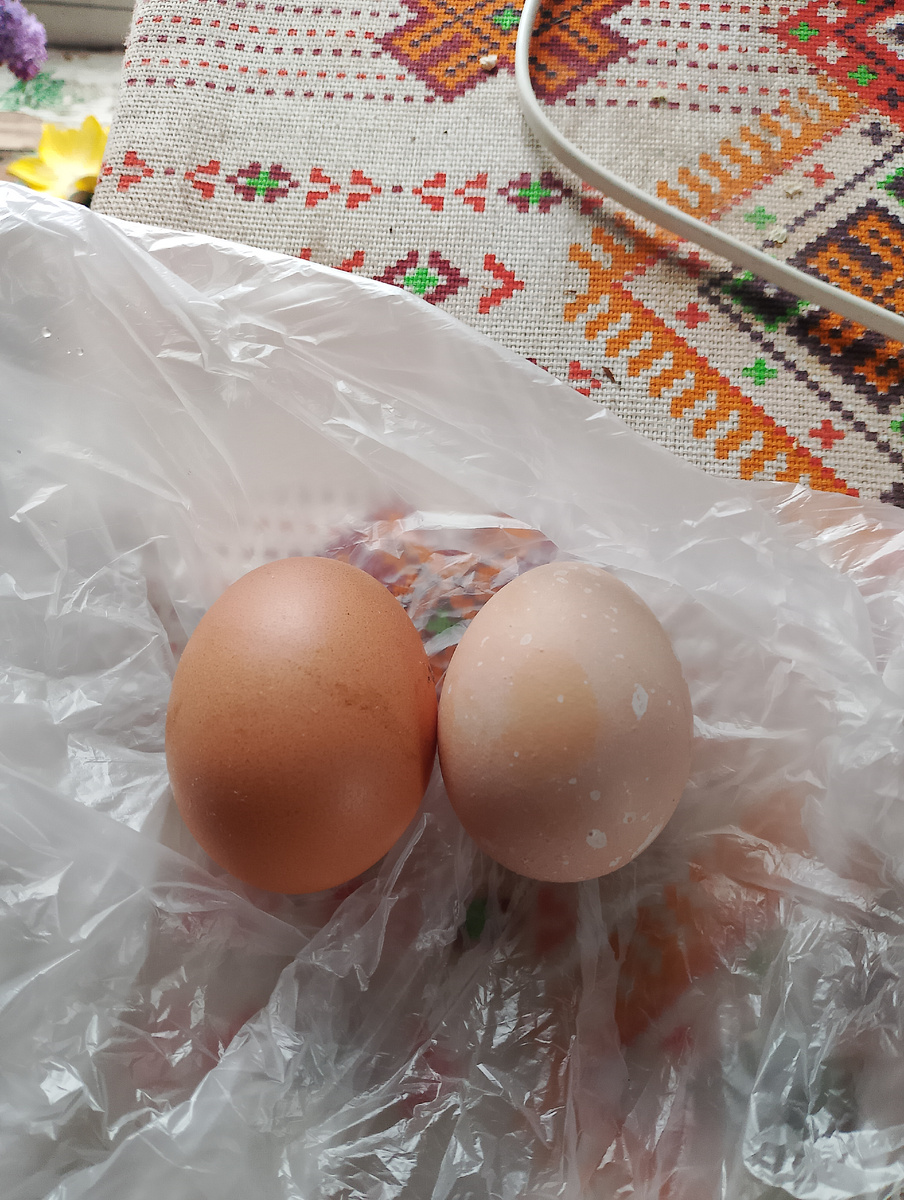 фото автора, одно из яиц, справа, чуть меньше обычных размеров