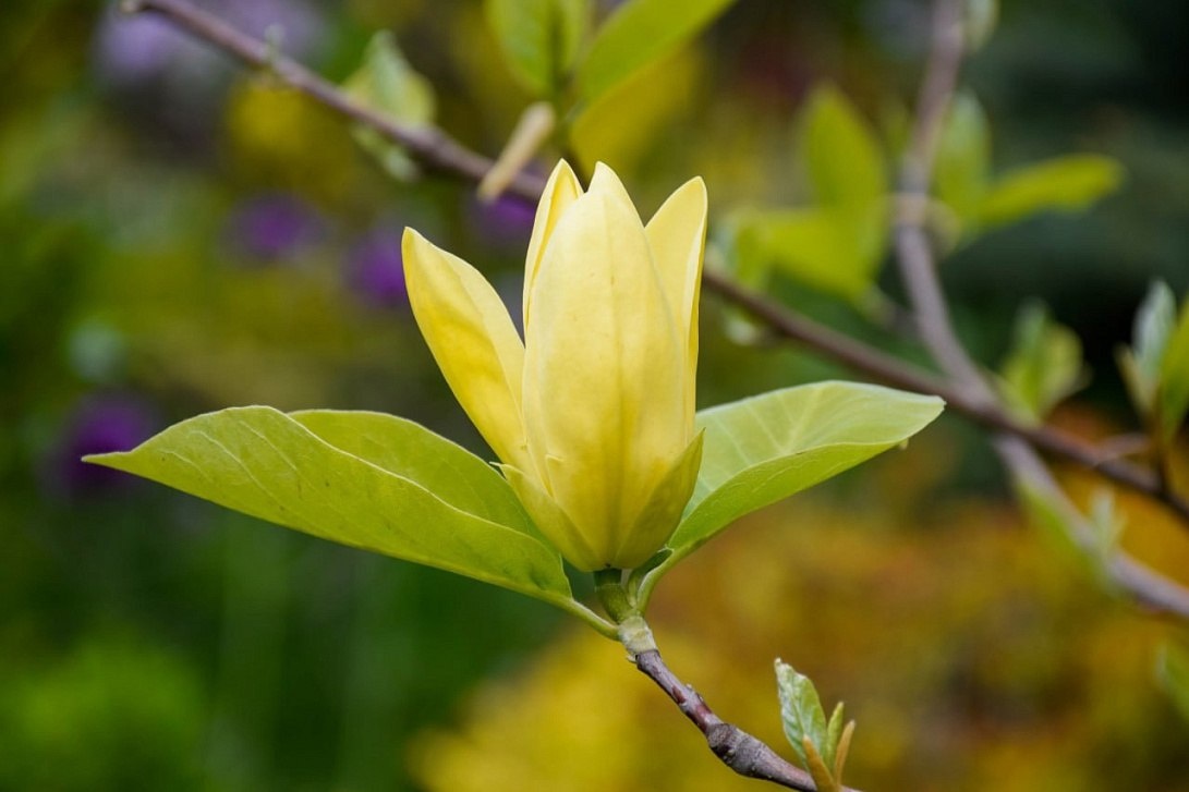 Фото: Правительство Курской области