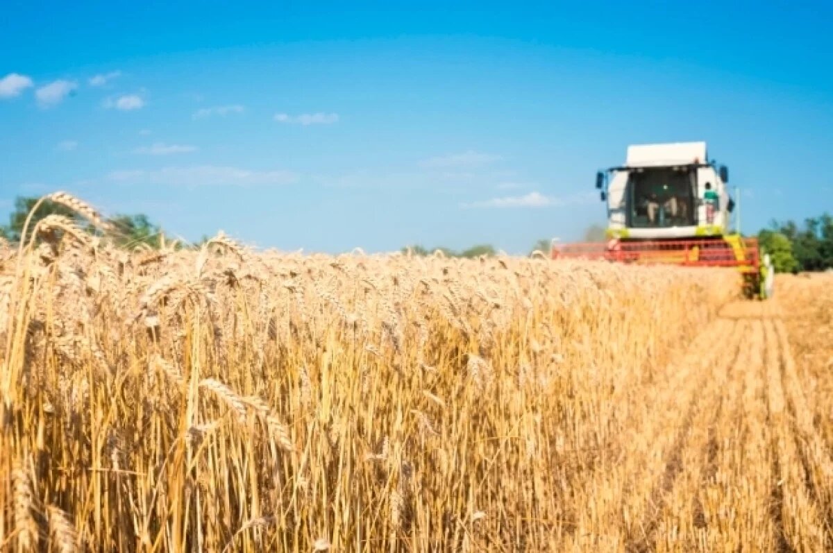    Для весеннего сева во Владимирской области выделили 875,6 млн рублейф