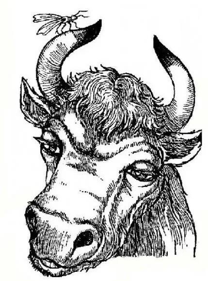 Картинка из открытых источников сети Интернет 