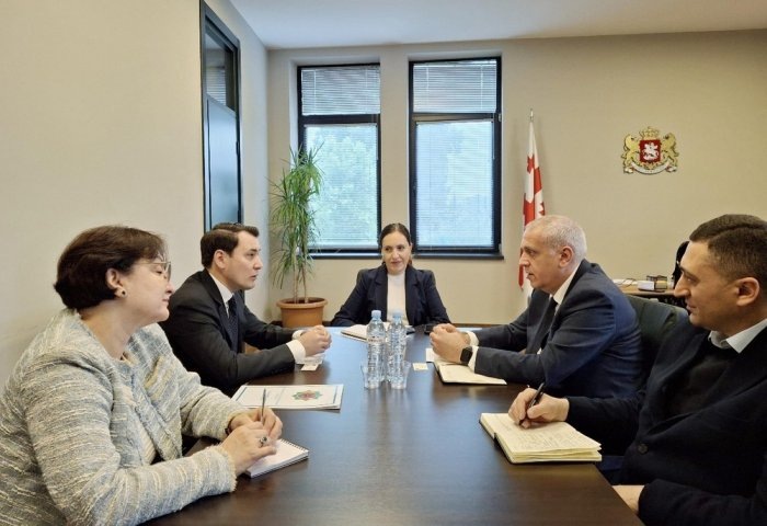 Встреча Довлетмырата Сейитмаммедова с Гиоргием Мирцхулава, 15 мая, 2025 г., Грузия (Фото: Посольство Туркменистана в Грузии)