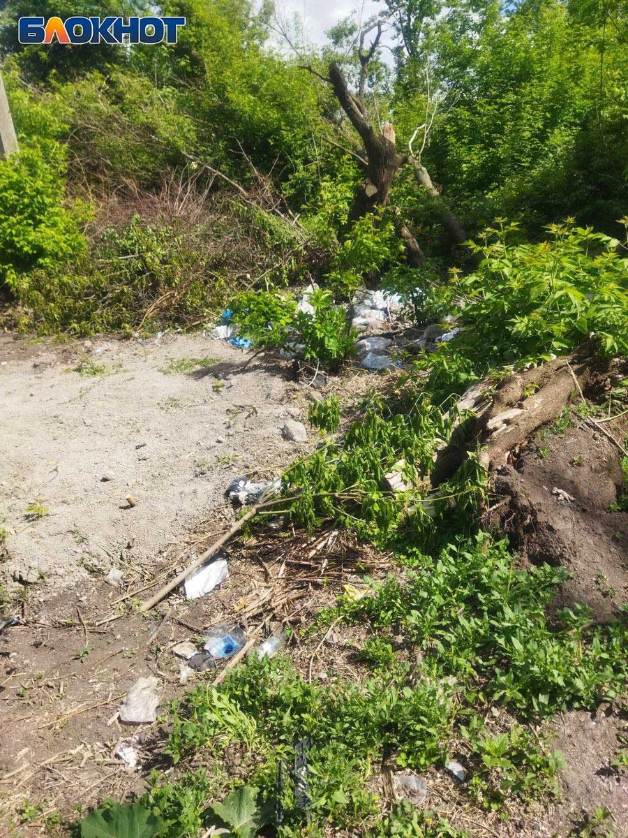 Фото: «Блокнот Донецк»