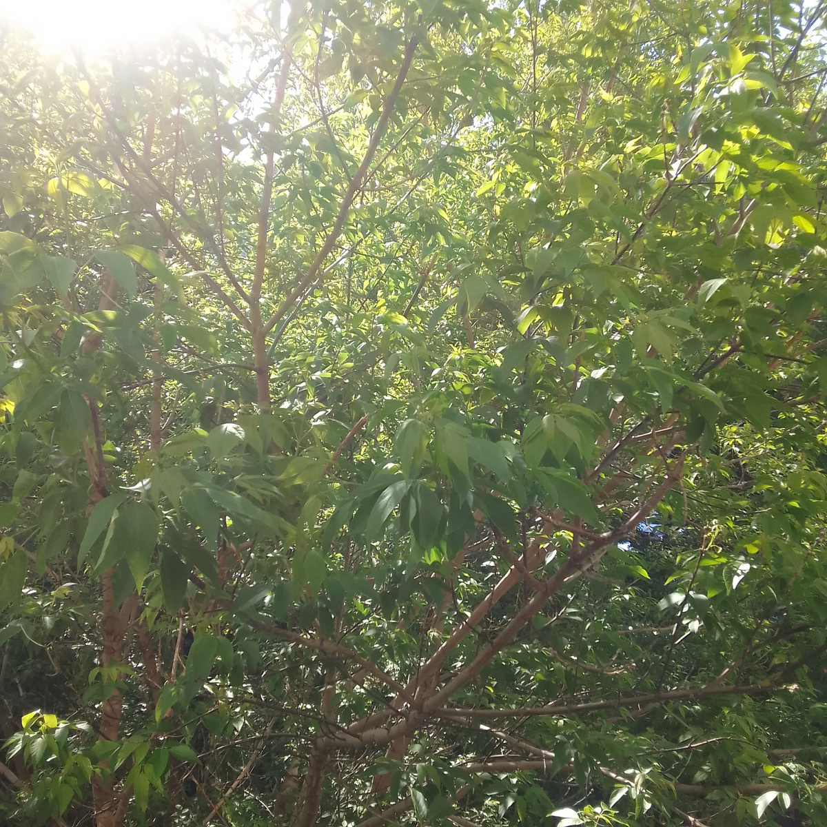 Фото автора. 