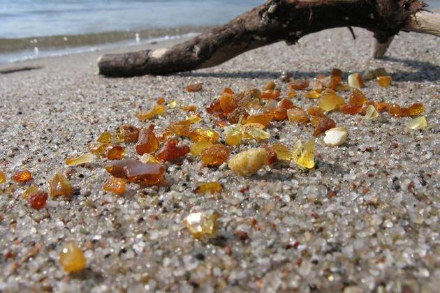 Калининградская область