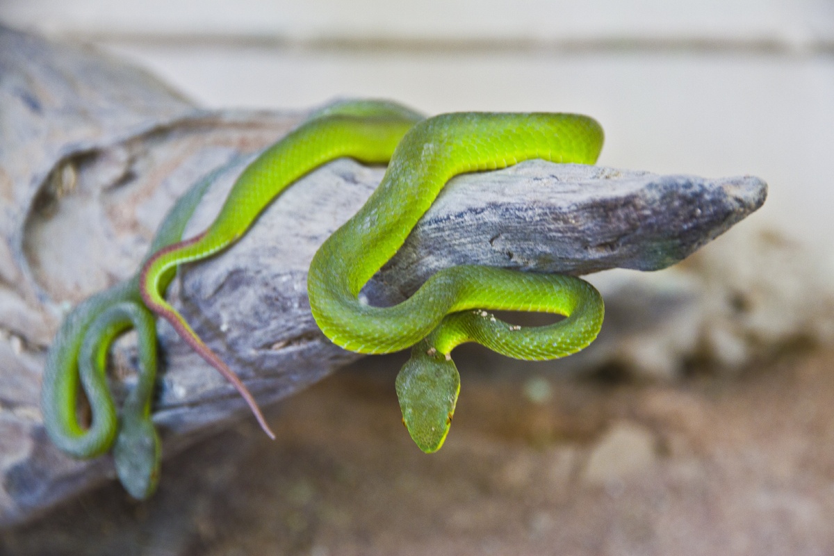 Не столько социум за нами наблюдает, сколькло мы за ним