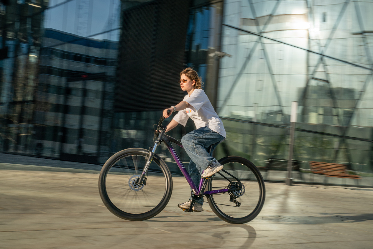Велосипед Alpinebike Terra 9