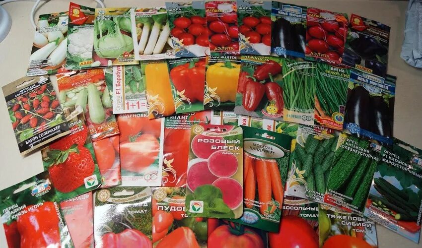 Разнообразие сортов позволяет подобрать томаты под любой вкус и участок.