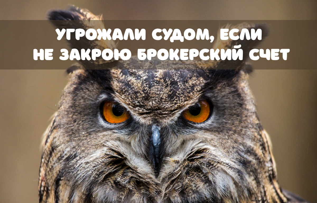 Фото: Gary C. Tognoni / Shutterstock