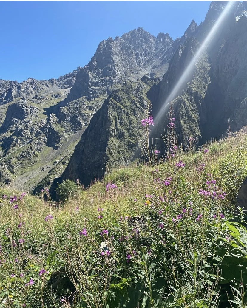 Цей летом. Фото автора 