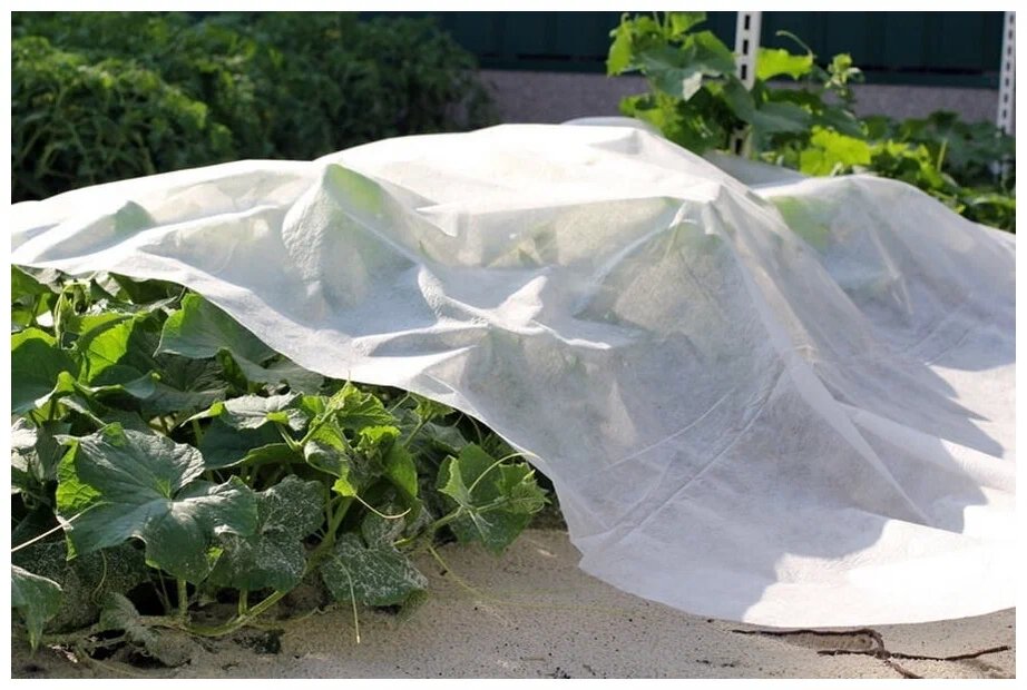 Картинка носит развлекательный характер.