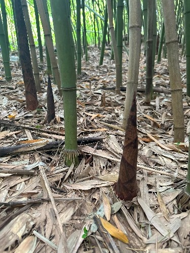    Фото: Кубань Информ