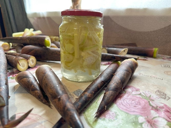    Фото: Кубань Информ