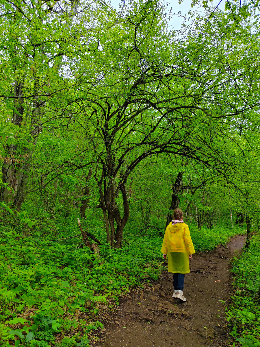 Тропа до скалы Чертов палец от верхней станции Савранской канатной дороги в станице Даховская в легкий дождик