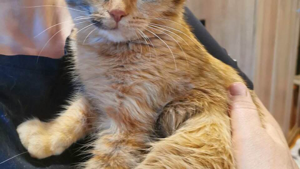 ❗ДОМА❗45 сантиметров – весь мир Виты на сегодняшний день. 🆘 ПОСТ-ШАНС! 🆘