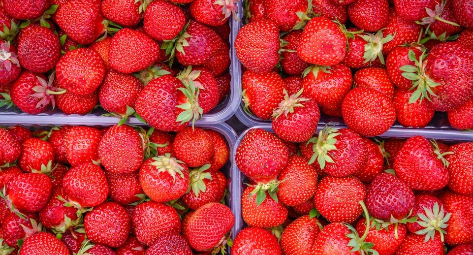    Медиасток.рф