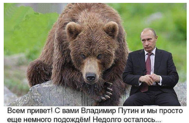 Все фото из интернета