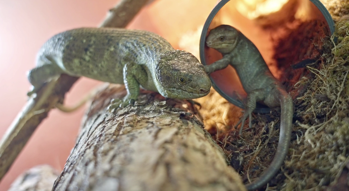    Фото: архив пресс-службы Московского зоопарка