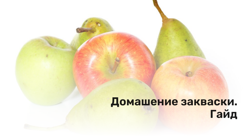 Домашние закваски