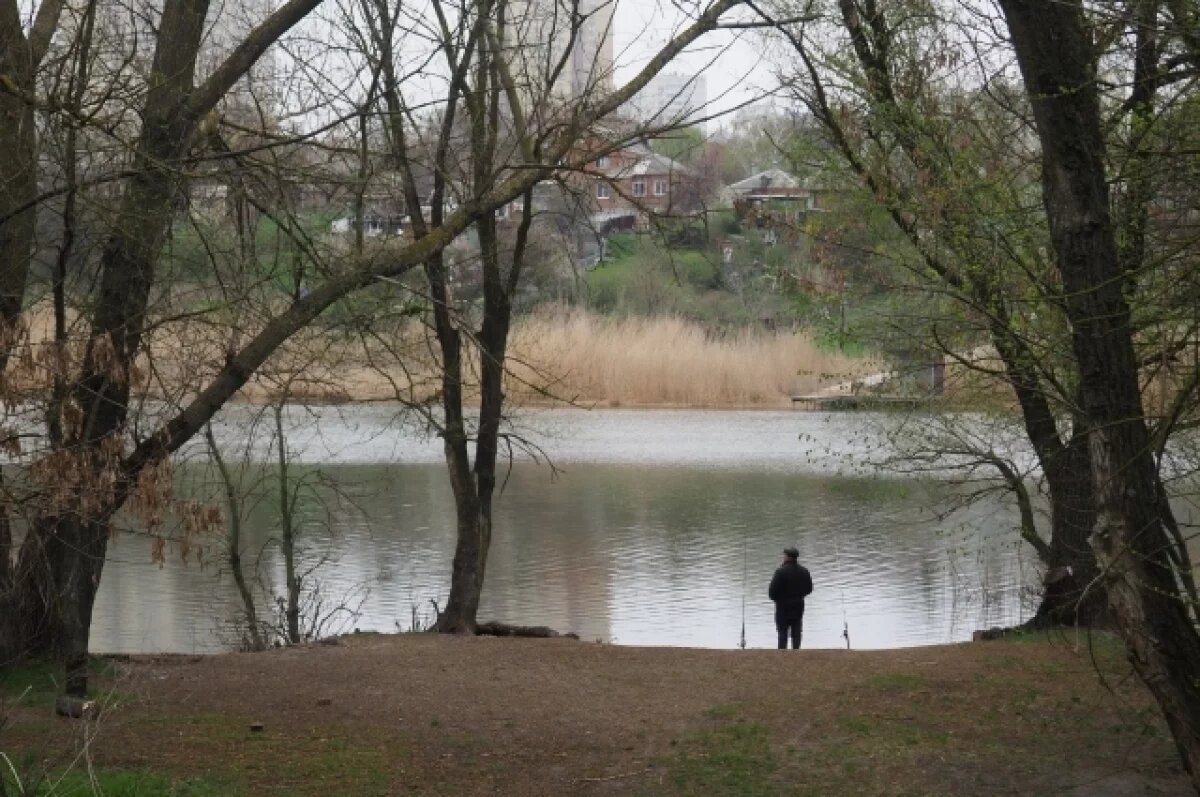    Строительство Западной хорды обойдет Кумженскую рощу в Ростове