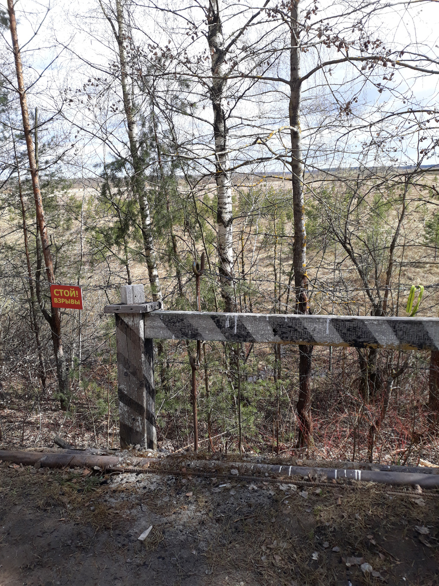 Фото автора.