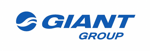 «Восстановление OEM» стимулирует рост выручки Giant Group