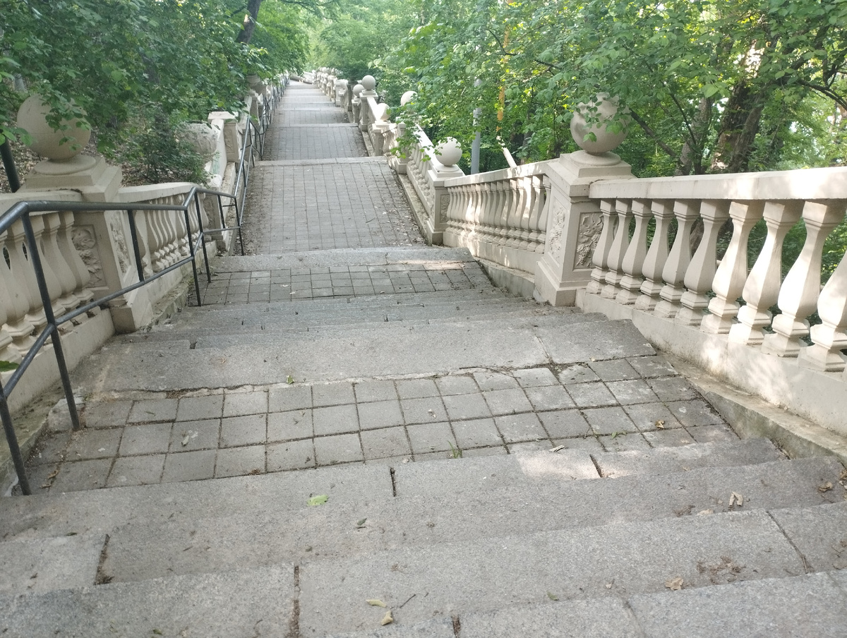 Фото автора. На прогулке 