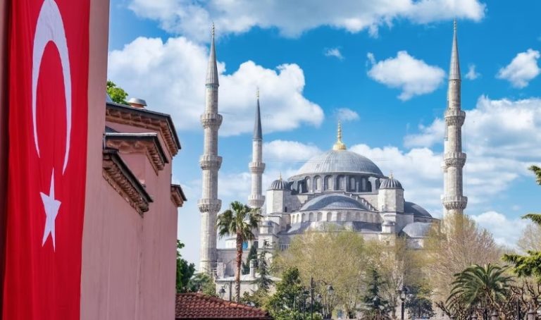    Фото: freepik.com Александра Горохова