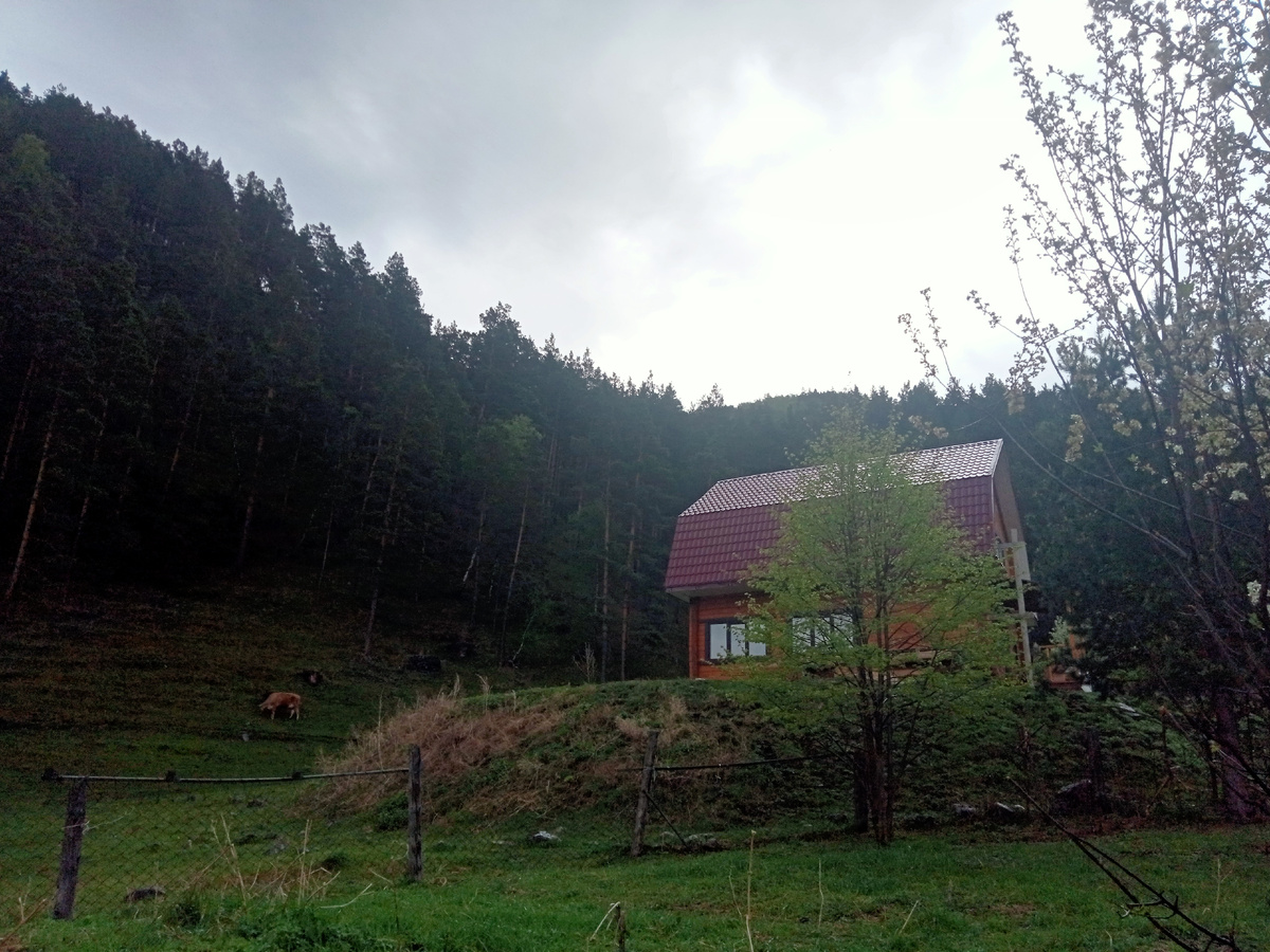 Фото автора 