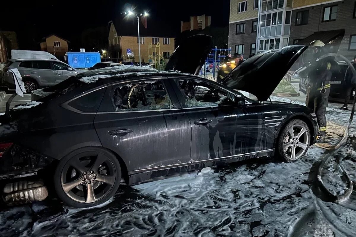    Четверых петербуржцев подозревают в массовом поджоге автомобилей в Пскове