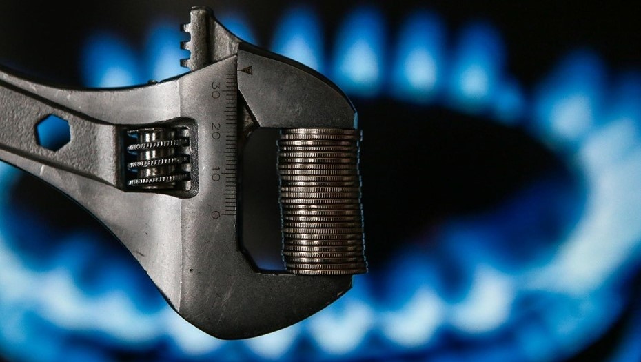    Автор фото: Коньков Сергей