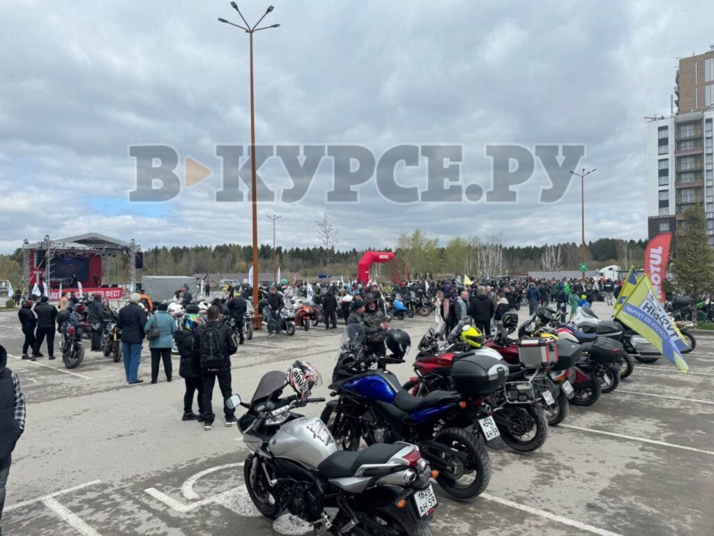    Фото: В курсе.ру Полина Анкушина