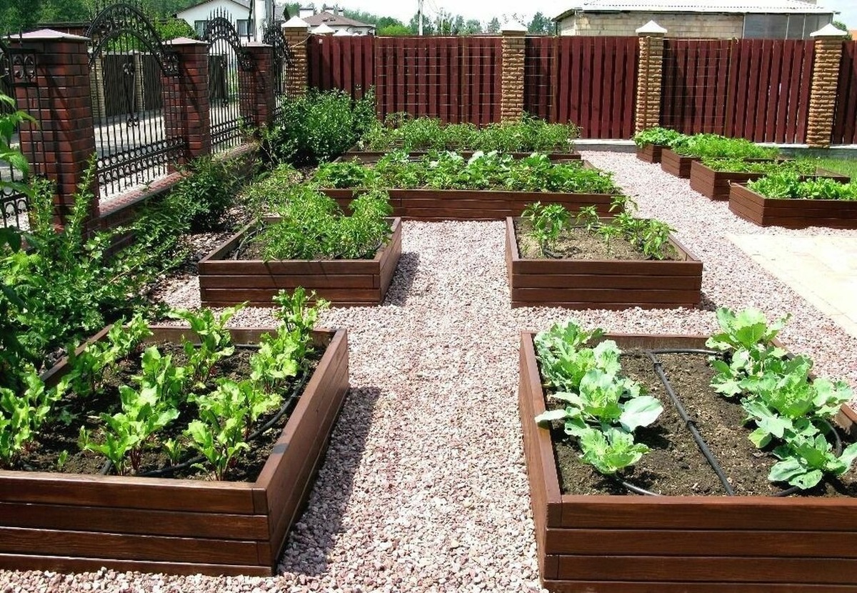 Ровные борта превращают обычные грядки в дизайнерский элемент.
