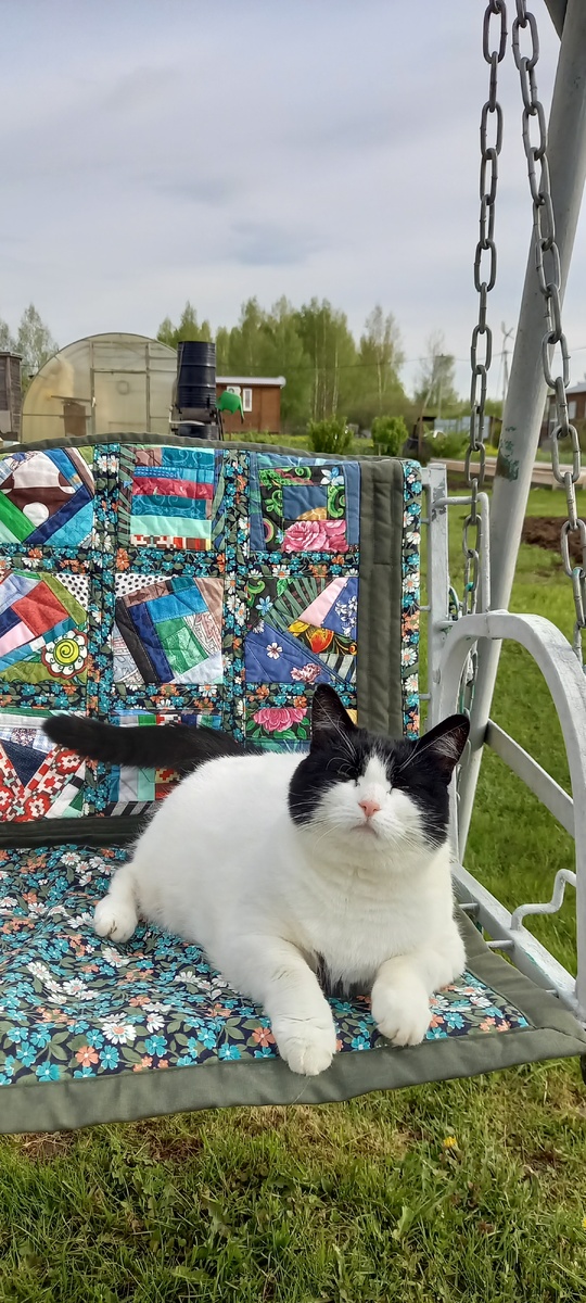 Фото автора