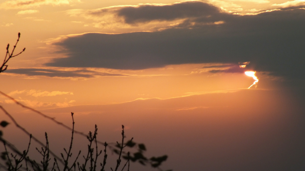    Victor Lisitsyn/Global Look Press/Globallookpress