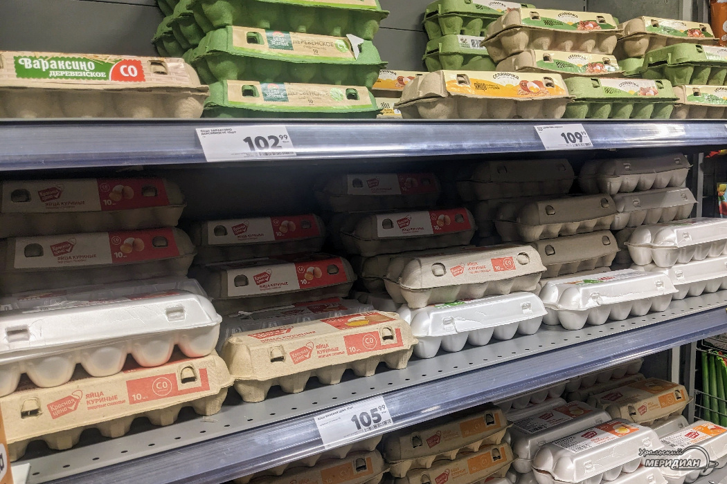    Фото: Ольга Аникина © ИА «Уральский меридиан»