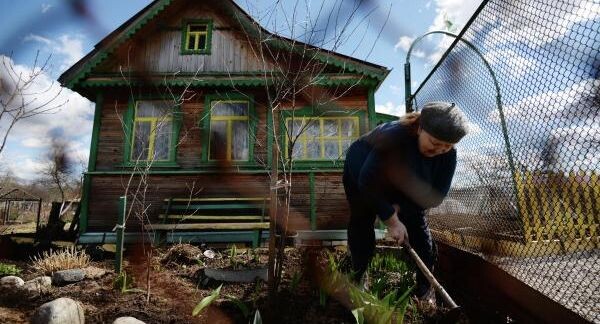    РИА «Новости»