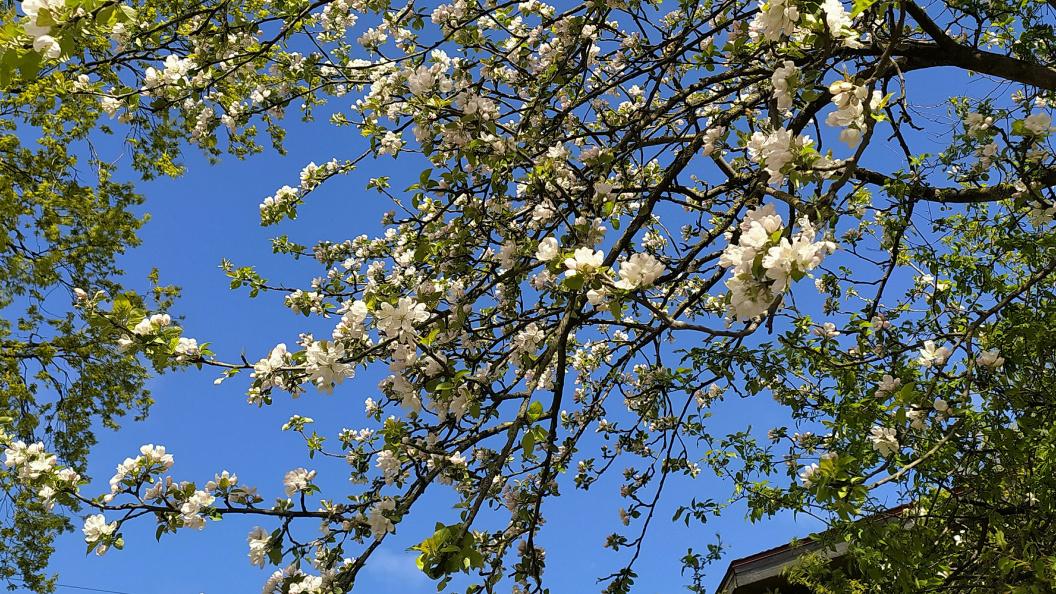    Фото: Victor Lisitsyn/Global Look Press