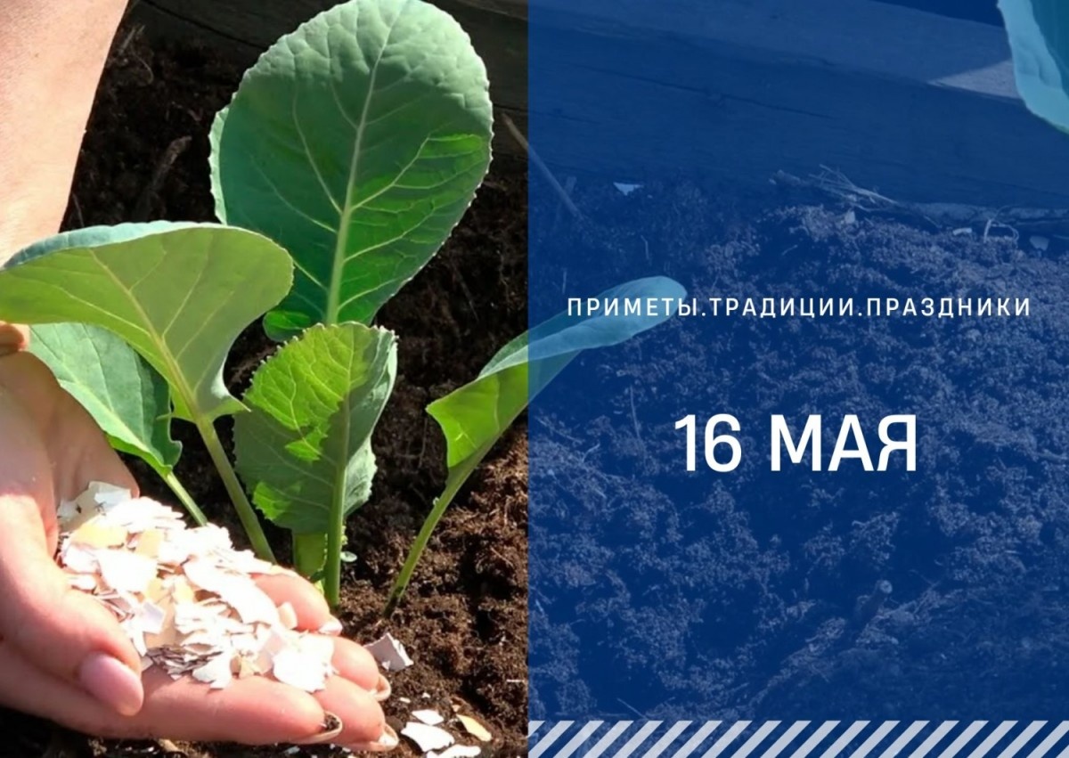   ГТРК "Ставрополье"