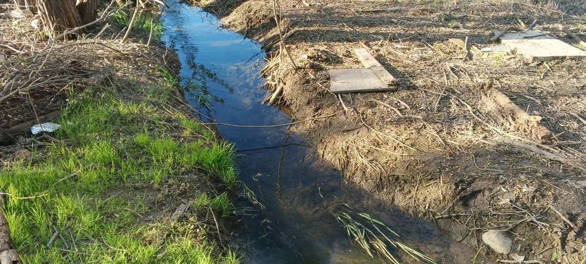 Фото: Тульская служба новостей