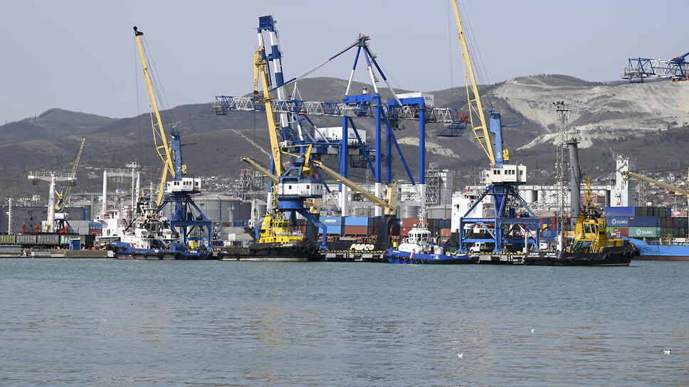 Фото: пресс-служба МО город-герой Новороссийска