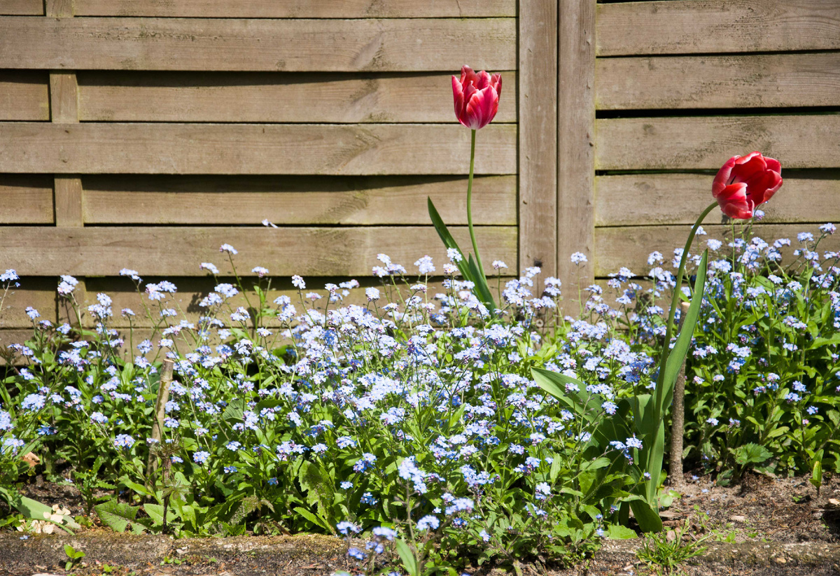 Самарская весна