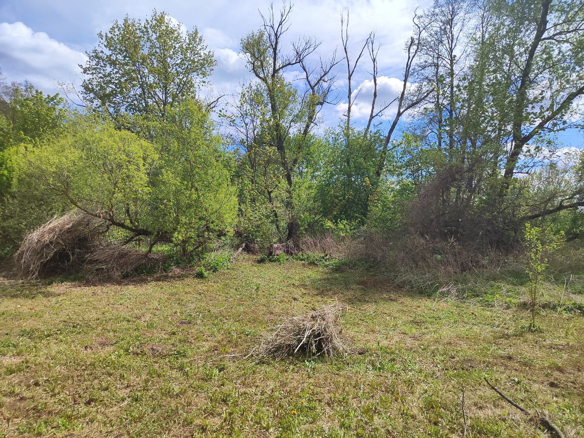 сразу другой вид!